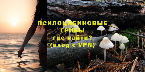 прущие грибы Алексин
