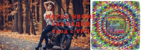 apvp Алзамай
