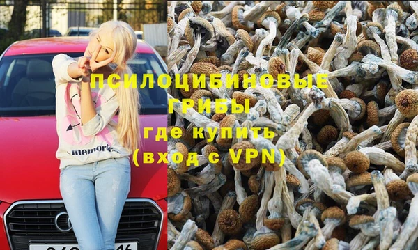 гашик Алексеевка