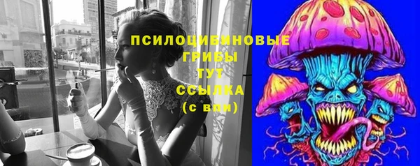 apvp Алзамай