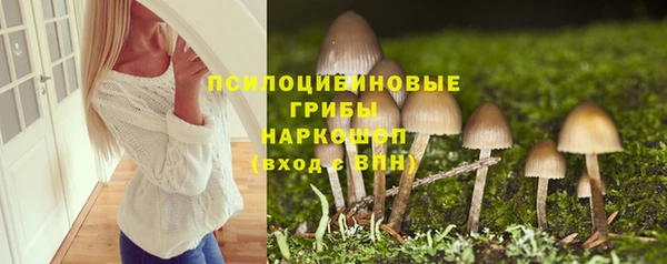 дживик Протвино